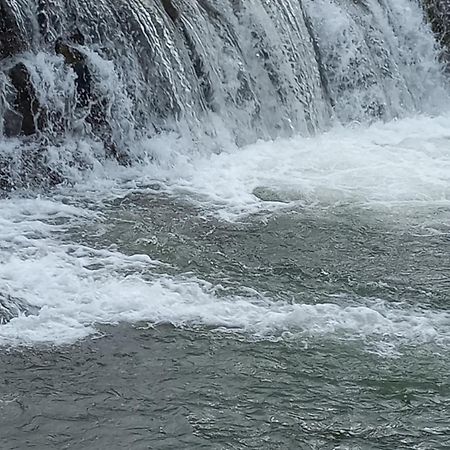 Domki Nad Stebnikiem Ustrzyki Dolne Buitenkant foto