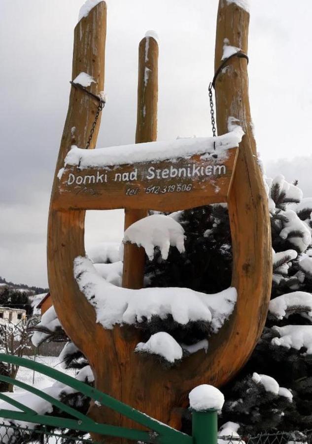 Domki Nad Stebnikiem Ustrzyki Dolne Buitenkant foto
